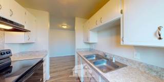 Cute 2:1 Apartment Downtown Olympia with Covered Parking! Cute 2:1 Apartment Downtown Olympia with Covered Parking! Gallery 9