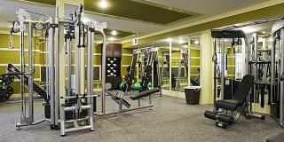 Aqua at Millenia Gallery 31