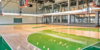 The Village Drey Gallery 59