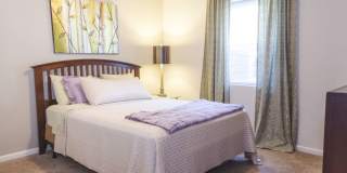 The Crest Apartments Gallery 8