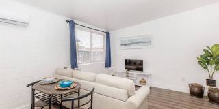 Equinox on Prince Gallery 21