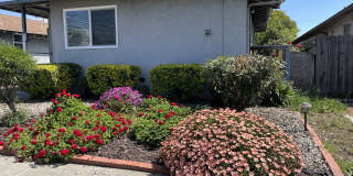 1656 150th Avenue Gallery 1