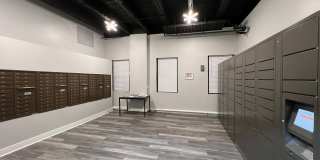 Museum Walk Gallery 8