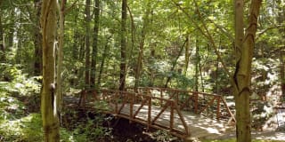 Avalon Tysons Corner Gallery 41