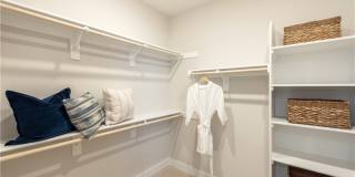 320 Junco Gallery 29