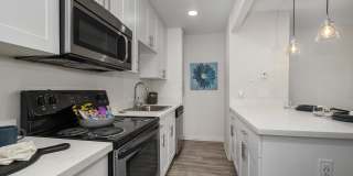 Pinecrest Apartments Gallery 6