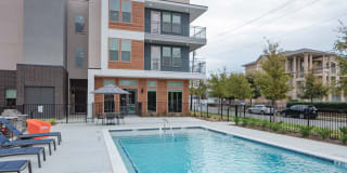 Magnolia at West Lemmon Gallery 17