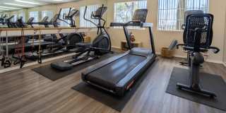 Pusch Ridge Gallery 12