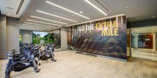 Alluvion Las Olas Alluvion Las Olas Gallery 32