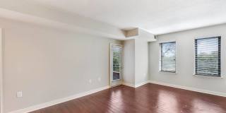 The Saratoga Gallery 18