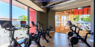 The Pioneer Gallery 21