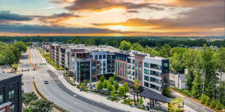 Ellison Parkview Gallery 48
