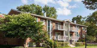 Lerner Arrowood Parc Gallery 3