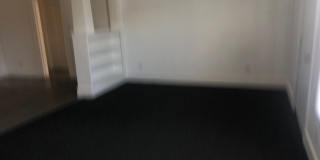 Lovely 3 bedroom 2 bathroom in St. Petersburg Gallery 1