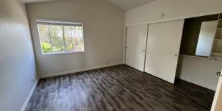 Live the Laid-Back Life at 1772 Corta Cresta! Gallery 25