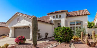 4232 E Desert Marigold Drive Gallery 1