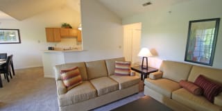 The Trails of Saddlebrook Gallery 50