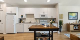 Ltd. Med Center Gallery 1