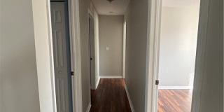9450 Silver Pine Loop Gallery 15