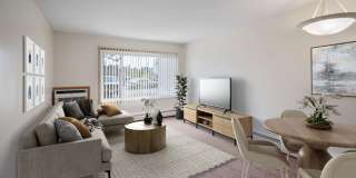 Birch Court Gallery 4