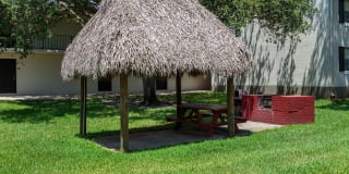 Sunset Palms Gallery 36