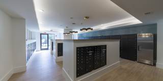 Longleaf at St. Johns Gallery 44