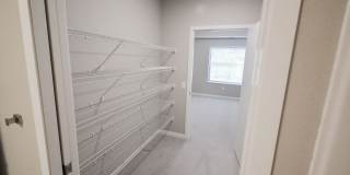 Verdant Gallery 7