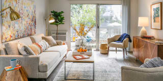 Violet on Virgil Violet on Virgil Gallery 1