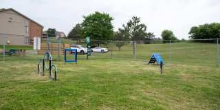 Pine Ridge Apartments Gallery 12