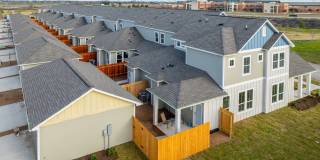 Mihir Taylor Gallery 38