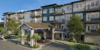 Mera at East Shore - 55+ Active Adult Apartment Homes Gallery 5