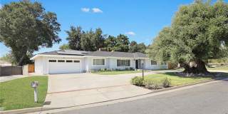 117 Catherine Park Drive Gallery 1