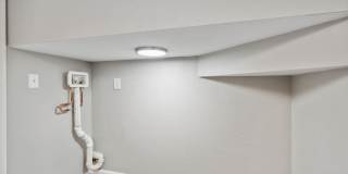 Buena Vista Gallery 61