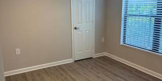 Palms of Clearwater Gallery 70