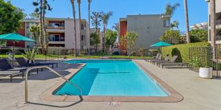 Park Regency Club Apartments Gallery 1