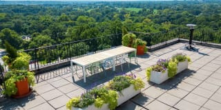 Parc Frontenac Gallery 2