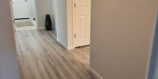 MUST SEE 4 Bedroom 2 bath Gallery 15