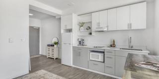 Koz at the Dome Gallery 9