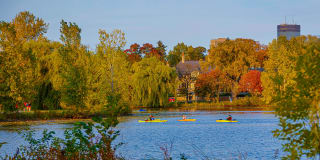 Pure Lowry Gallery 41