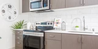 MacArthur Commons Gallery 16