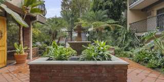 The Palms Gallery 28