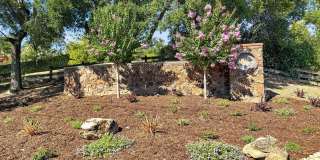 Spectacular 3 Bedroom PLUS Office Located in the Desired Rancho Paraiso Walnut Creek Neighborhood! Gallery 50