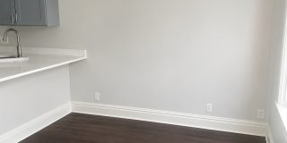 Newly Renovated Apartments in Heart of St Louis' Grove Neighborhood Gallery 7