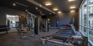 Avenue Madison Gallery 45