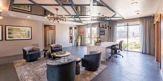 Buffalo at Desert Shores Gallery 15