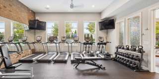 Trotters Park Gallery 4