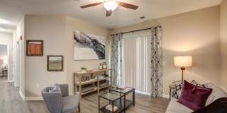 Autumn View Gallery 3