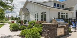 Commonwealth apartments Gallery 27