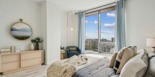 Premiere on Pine Gallery 31