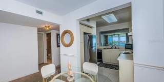6001 BAHIA DEL MAR CIRCLE Gallery 7